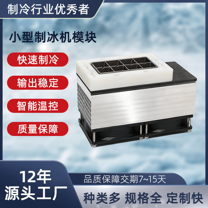 Small Ice Making Machine Module