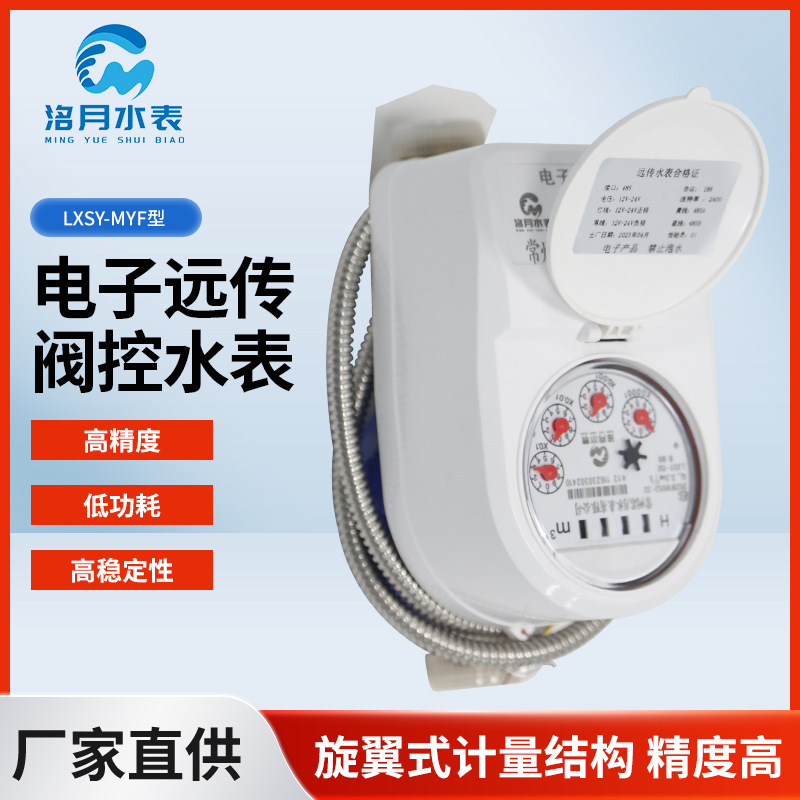 LXSY-MYF型电子远传阀控水表光电直读远传阀控水表M-BUS有线RS-48