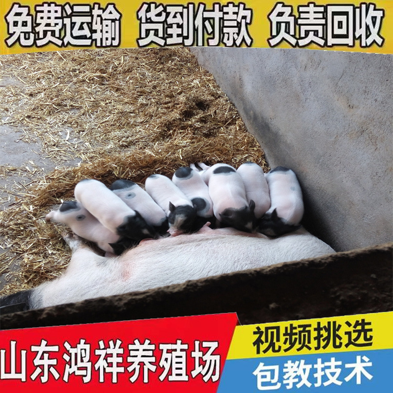 8f061138360b47169f23909dfdb181