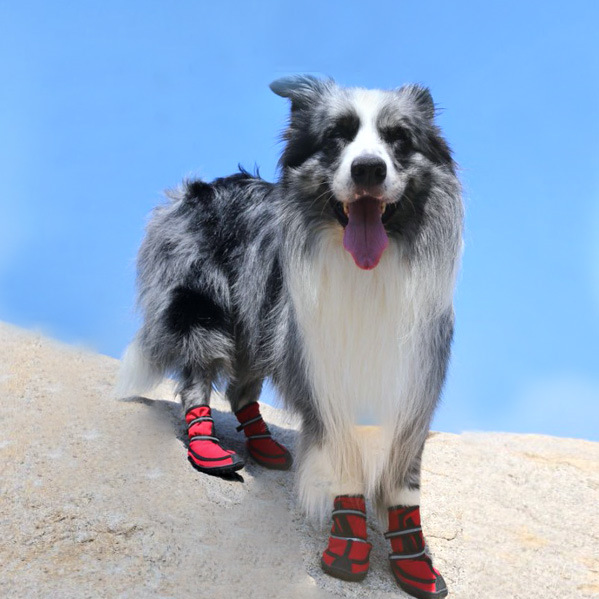 Zapatos para perros de fondo suave antideslizante medio perro zapatos para mascotas Botas de lluvia impermeables zapatos para perros sin gota zapatos para mascotas de invierno al por mayor