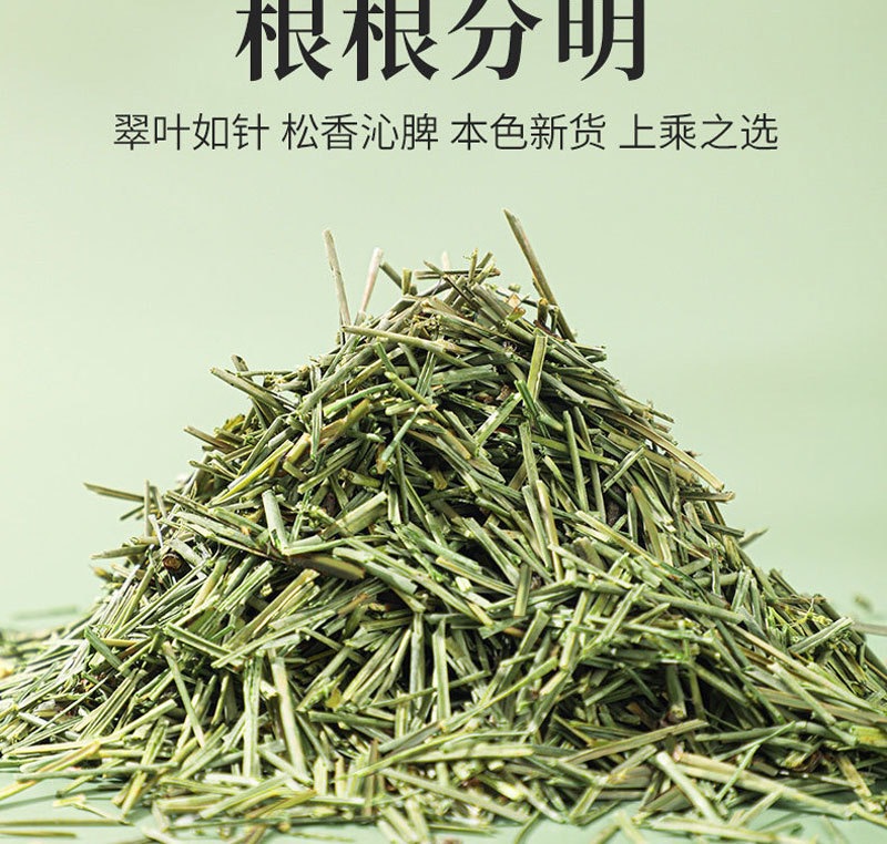Pine Needle Tea Song Zhen Loose Herbal Tea 150g Cold Brew Wellness Drink quality and texture