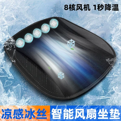 Seat cushion, seat cover | Fan Cushion Car Ice Silk