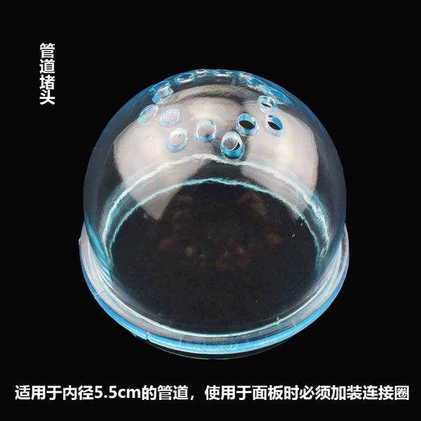 Pipe plug blue