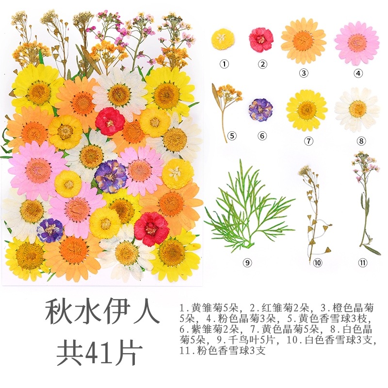 가을 물 아름다움 (41 꽃)