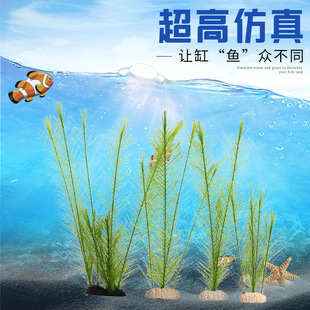 Ʒˮ~쾰ˮֲ~bϲuβël