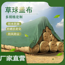 ���ڲ������o�ֲ����w�������r���ɲ݃�������˺��HayTarp