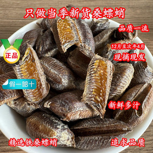 ɣ�����ș����Ʒɣ���Nɣ����ɣ�h�������������ʳ�������