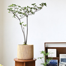 �͹ŷ���ˮ����辎���҃ȿ͏d�bGֲ�����������������