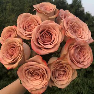 �������Z���д��硿õ���¼���ɫ�r�G��\�m�л����L̨ͤ�Gֲ����