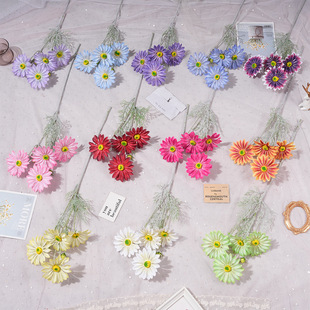 ����ֲ�q��˹�� �Ҿ��bٻ�С���������ջ�Y�û�c·������