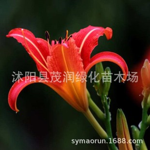 ���l����ݼt����ݾG��������ͥԺ��·�G���޸��������������