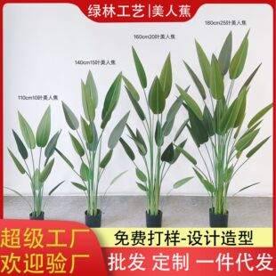 SֱNͼҾطGֲܛbƷ˽B