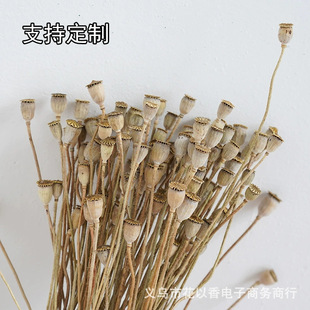 �����ɻ����diy�����˸ɹ��Y�л��Ĳ廨���Ĕz���߸ɻ������滨