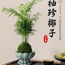 ˮ������Ҭ��̦�\��ֲ�������k��������͏d�^�p���ӾGֲ����辰