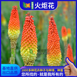 ���l��滨�N�Ӽt������ɏ�N�ѻ���ֱ�l����ă����^���ܷN��