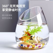 包邮玻璃水培植物花瓶透明斜口鱼缸斜口绿萝水培花盆水培器皿水族