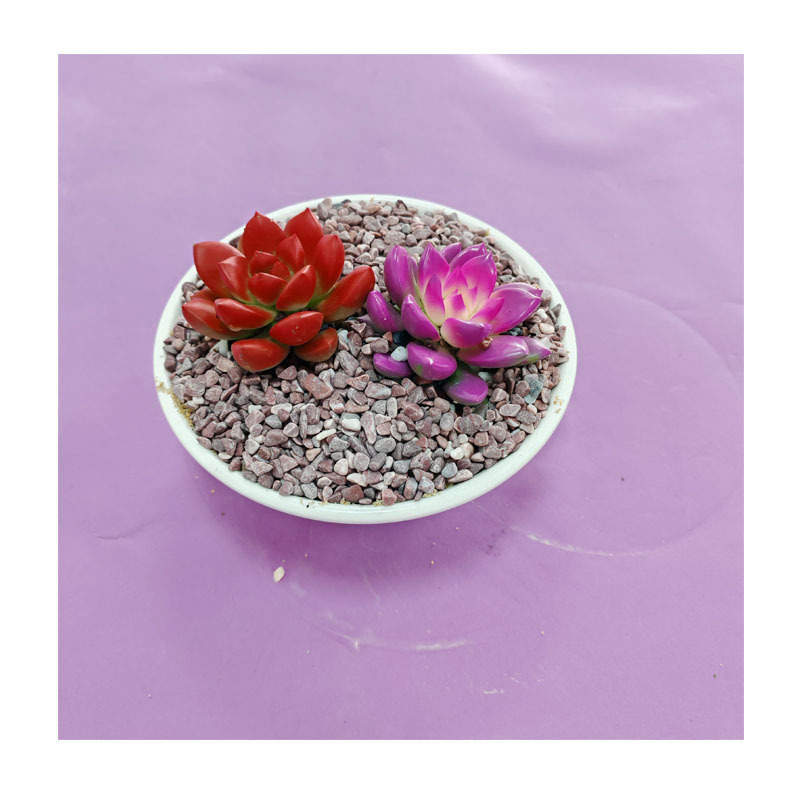 ��ɫ��ʯ��ʯ�������棺����԰��������ֲЧ����ڷ����е��ؾ�