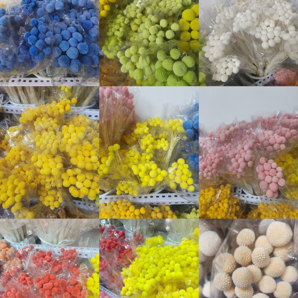 永生花黄金球插花结婚DIY手工