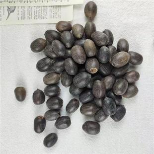 ��ɏ�N�ӷ���ɏ�N��ɏ�ӷN�Ӻɻ��N�����_��ˮ��N�ӻ��������̨