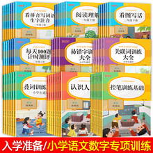 全56册小学语文专项/数学计算高手/写作技巧通用版课前课后练习册