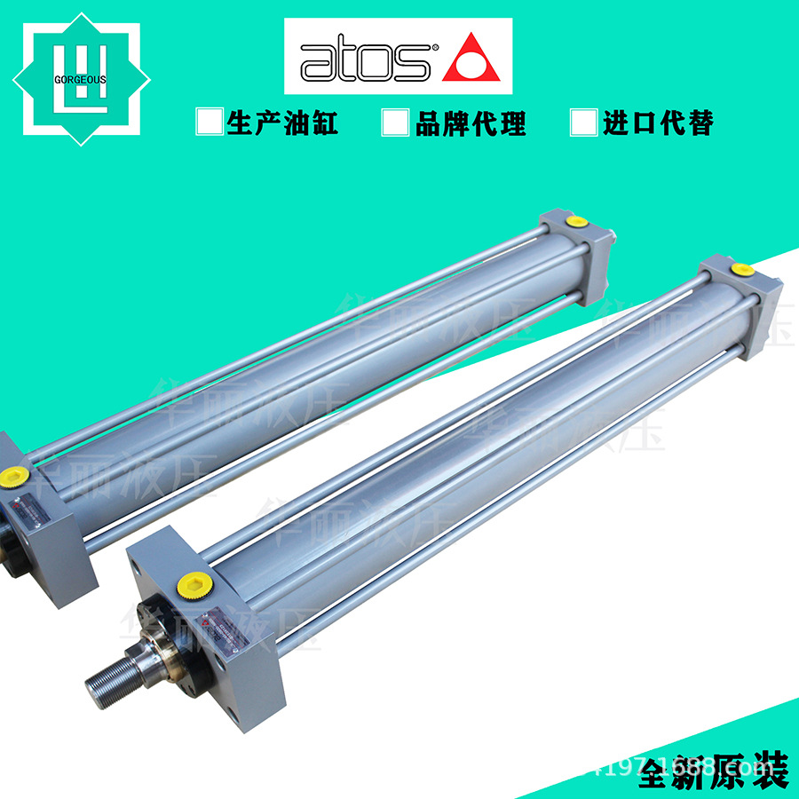 ATOS 阿托斯液压油缸拉杆式油缸 CK10-40/22/22-0100-N001-B1X1