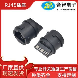 �S�ҹ����A�η�ˮRJ45 8P6C��·��Ҏ��ˮ�W��ǰ�˺����������^
