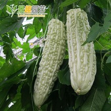 һlļL׿ϷNƷN͟ᴺ̨ͥԺ׷N