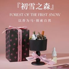 扩香石香薰无火香薰精油卧室酒店香氛晶石摆件高级感干花伴手礼批