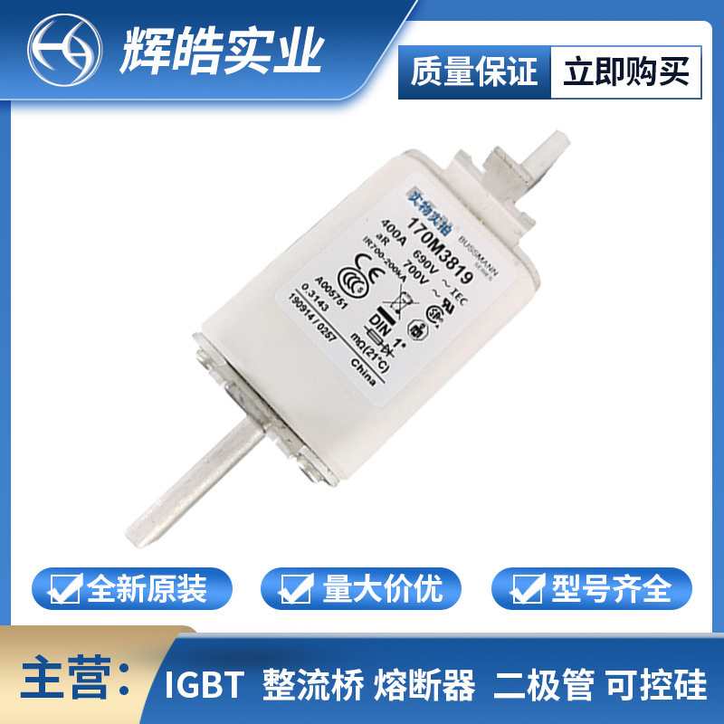 170M5813/170M1561方体低压快速熔断器全新原装电子元器件量大价