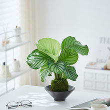 ϣϣ�Gֲ  ���O��̦�\��/��������ˮ���ļ����B�҃���������՚�