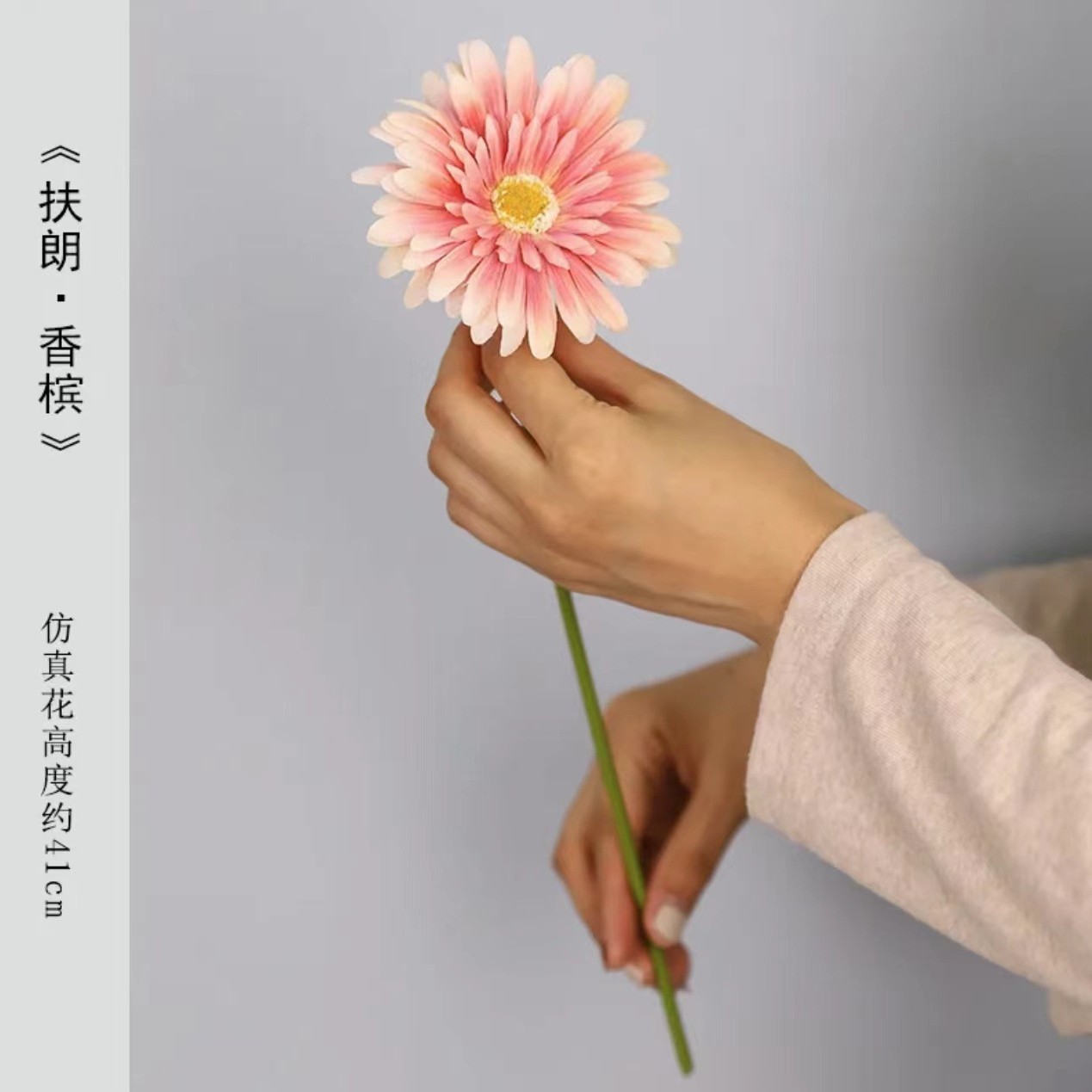 샴페인 파우더