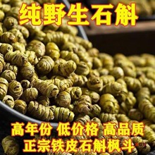 霍山铁皮石斛枫斗霍山石斛鲜条加工干品枫斗滋补佳品(送瓶装