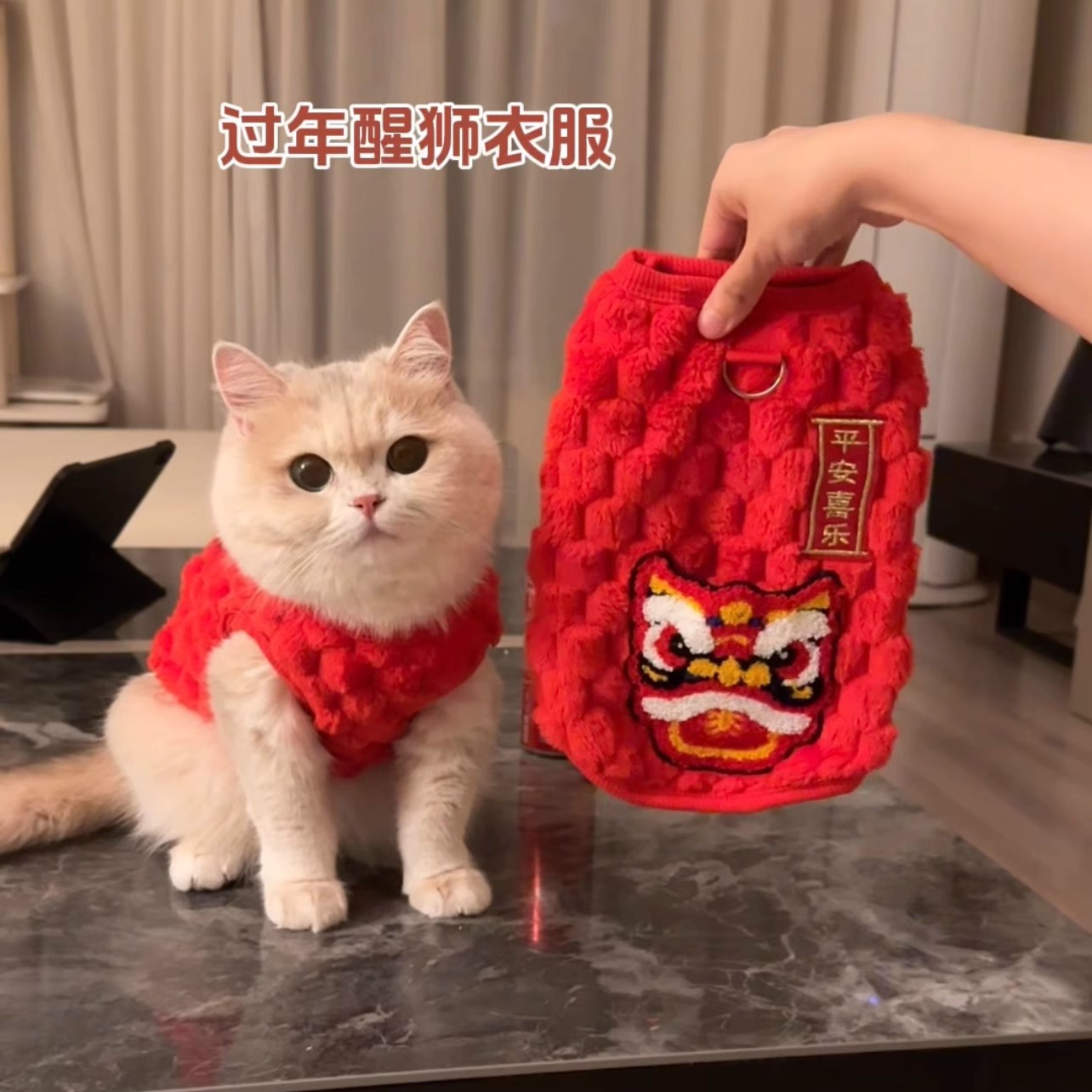 Ropa de mascotas para gatos de Año Nuevo chaleco de peluche cálido oro muñecas de capa graduada gato azul gato joven invierno ropa de Año Nuevo