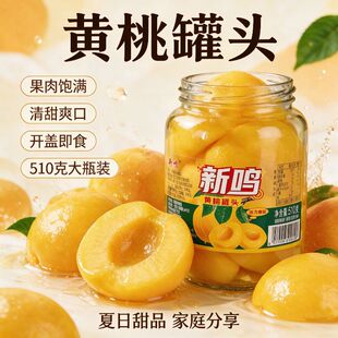 �S�ҹ��^510g*4��ƿ����ƿ���rˮ�����^������ʳ�������l�����ʳ