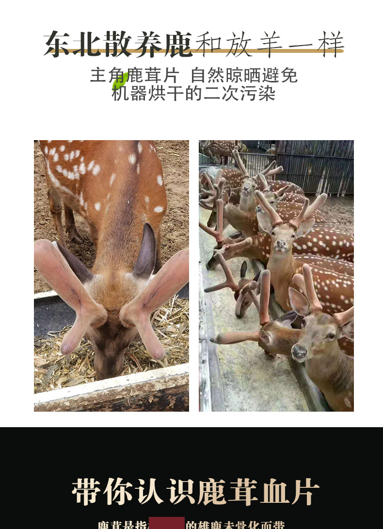 Dried Velvet Antler Slices from Jilin Deer Antler Slices for Tea or Wine Soaking with Gift Box key features