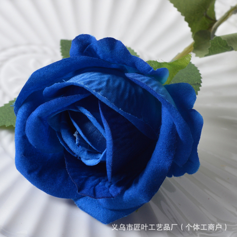 작은 벨벳 블루