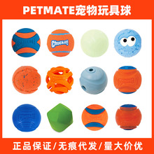 petmate������������z��chuckit������ҧĥ�����Ӱl���޹�߅��