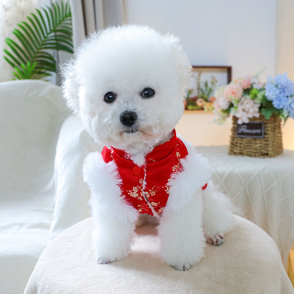 PTECIRCLE 애완 동물 서클 [재고 공장 직접 공급] 개 고양이 의류 의류 HUZI 새해 면 패딩 코트