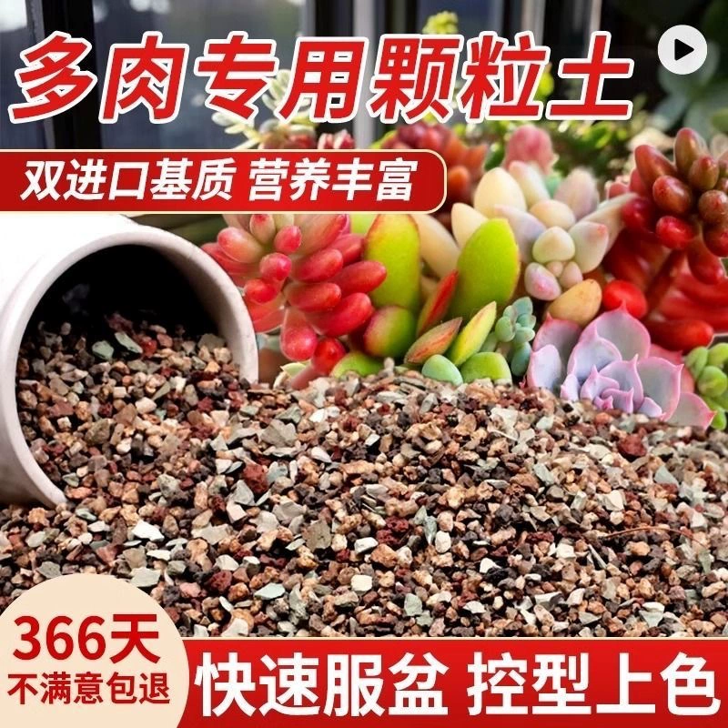 Мясистая питательная почва Специальная гранулярная почва торфяная почва мясистая органическая почва