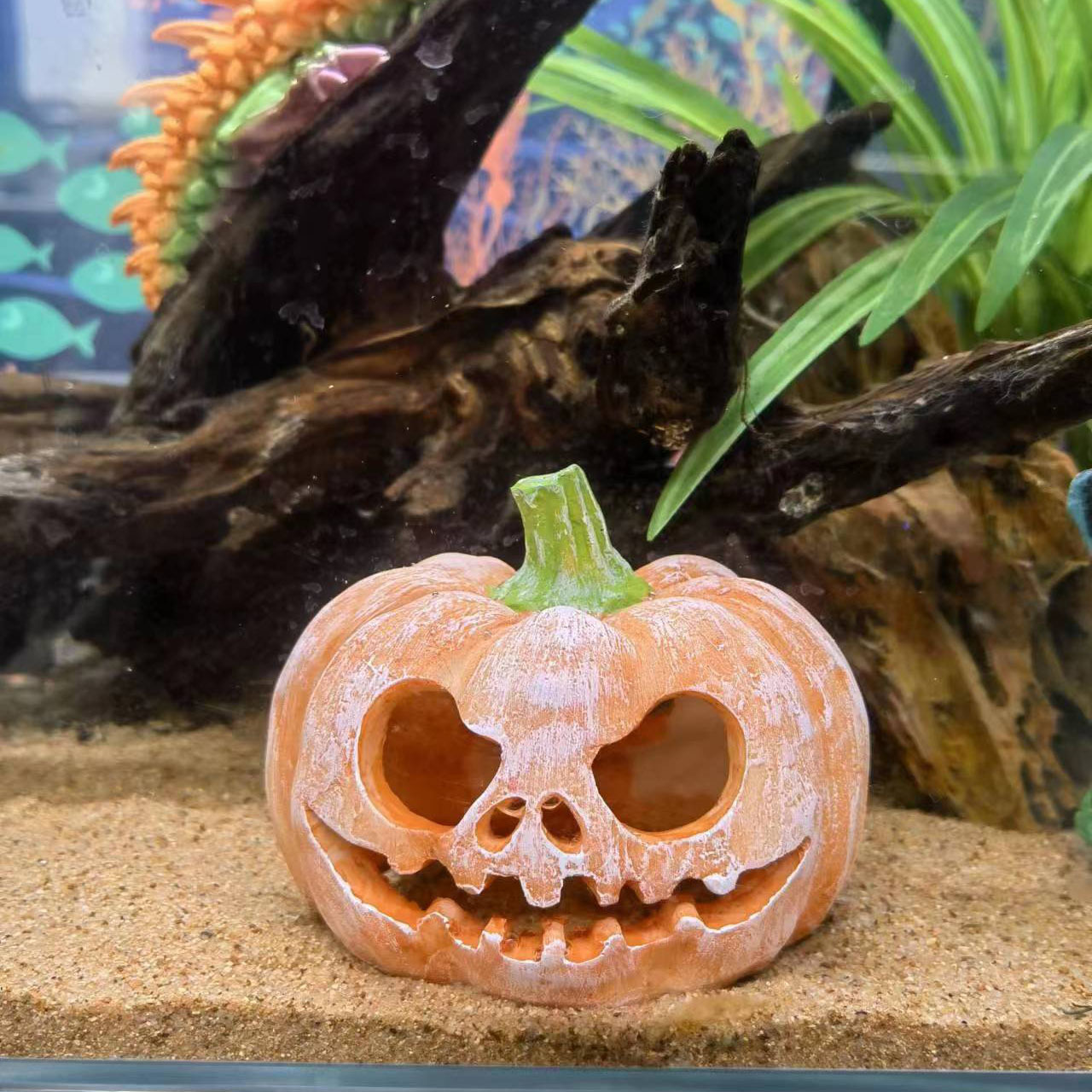 O1CN01yP53pi1T8qoqQRqW2_!!2214