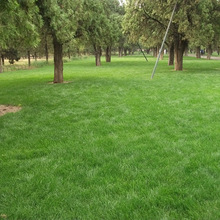 ϻޣN iţ~uZļϷ ݷN