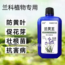 �߼��m�������m�`���m������������ޥ�m�I�BҺҺ�w��Ʒ����