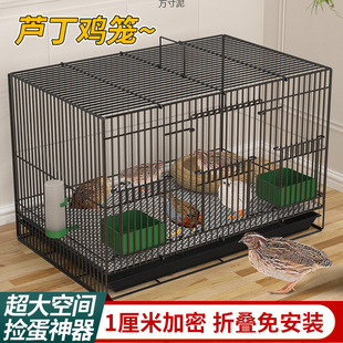Special Household Chicken Cage for Quail, Encrypted Cage for Small Quail Breeding, Chick Pet Cage, Small Yellow Duck Cage Wholesale