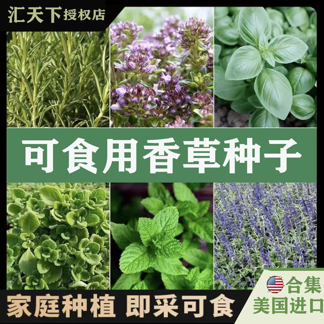 Семена мяты и тимьяна для трансграничной электронной торговли, устойчивые к засухе, приправные травы, холодостойкие растения для двора и балкона в горшках