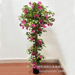 �羳��������÷��Ҿ��҃��b���ط��滨������һ���ѻ���S��