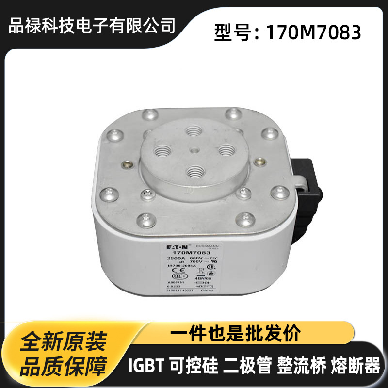 170M6470 170M6500 170M6501进口快速熔断器 高压熔断器 熔丝