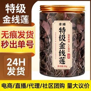 �ؼ���ɏ����Y���ͶYҰ����ș����Ş�긣�������Ͼ�����