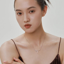 2024�¿�΢Ц�����Y����ë���Ů�߼����p�������˹��Y���i���