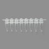 FTUB128-1boxPCR Eight row tube 0.2ml , Colorless, Convex cover, Axygen Original 125 Row/box