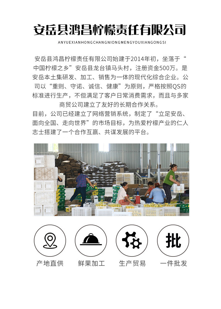 14399989388_1268893092